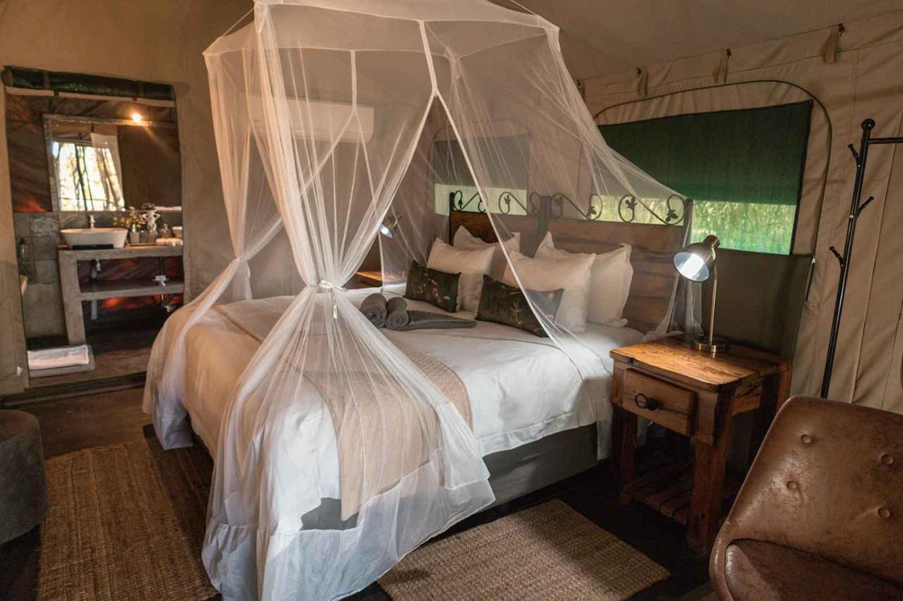 Umkumbe Bush Lodge - Luxury Tented Camp Khu bảo tồn Sabi Sand Ngoại thất bức ảnh