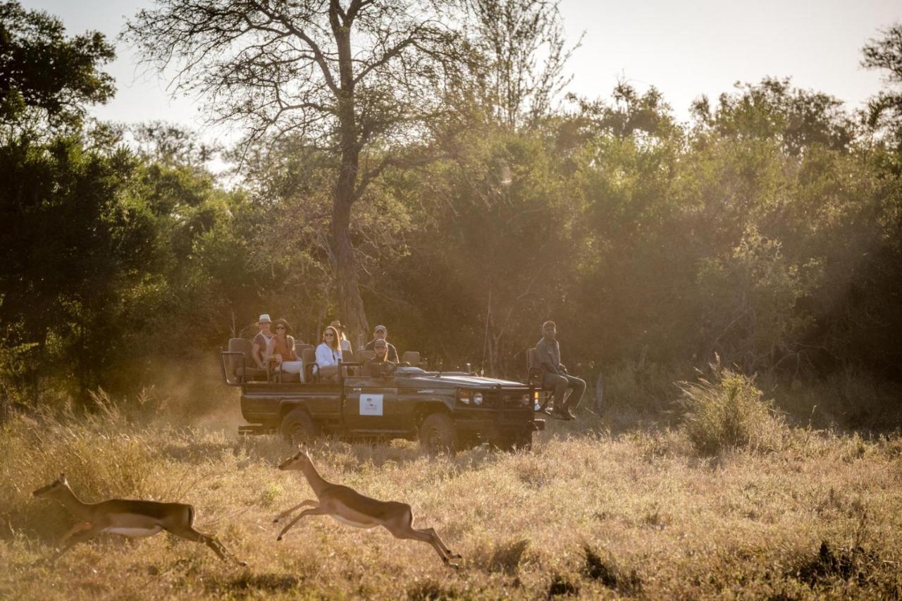 Umkumbe Bush Lodge - Luxury Tented Camp Khu bảo tồn Sabi Sand Ngoại thất bức ảnh