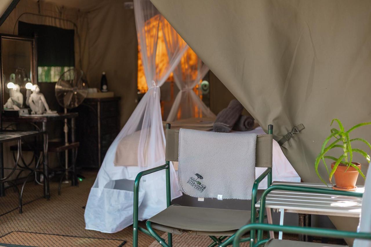 Umkumbe Bush Lodge - Luxury Tented Camp Khu bảo tồn Sabi Sand Ngoại thất bức ảnh