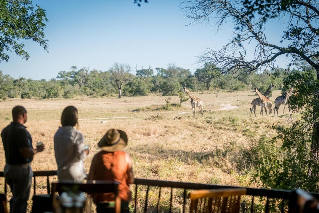 Umkumbe Bush Lodge - Luxury Tented Camp Khu bảo tồn Sabi Sand Ngoại thất bức ảnh