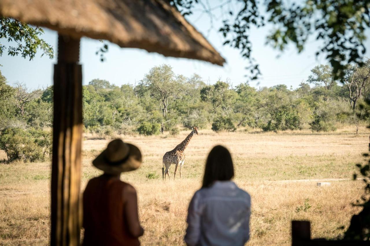 Umkumbe Bush Lodge - Luxury Tented Camp Khu bảo tồn Sabi Sand Ngoại thất bức ảnh